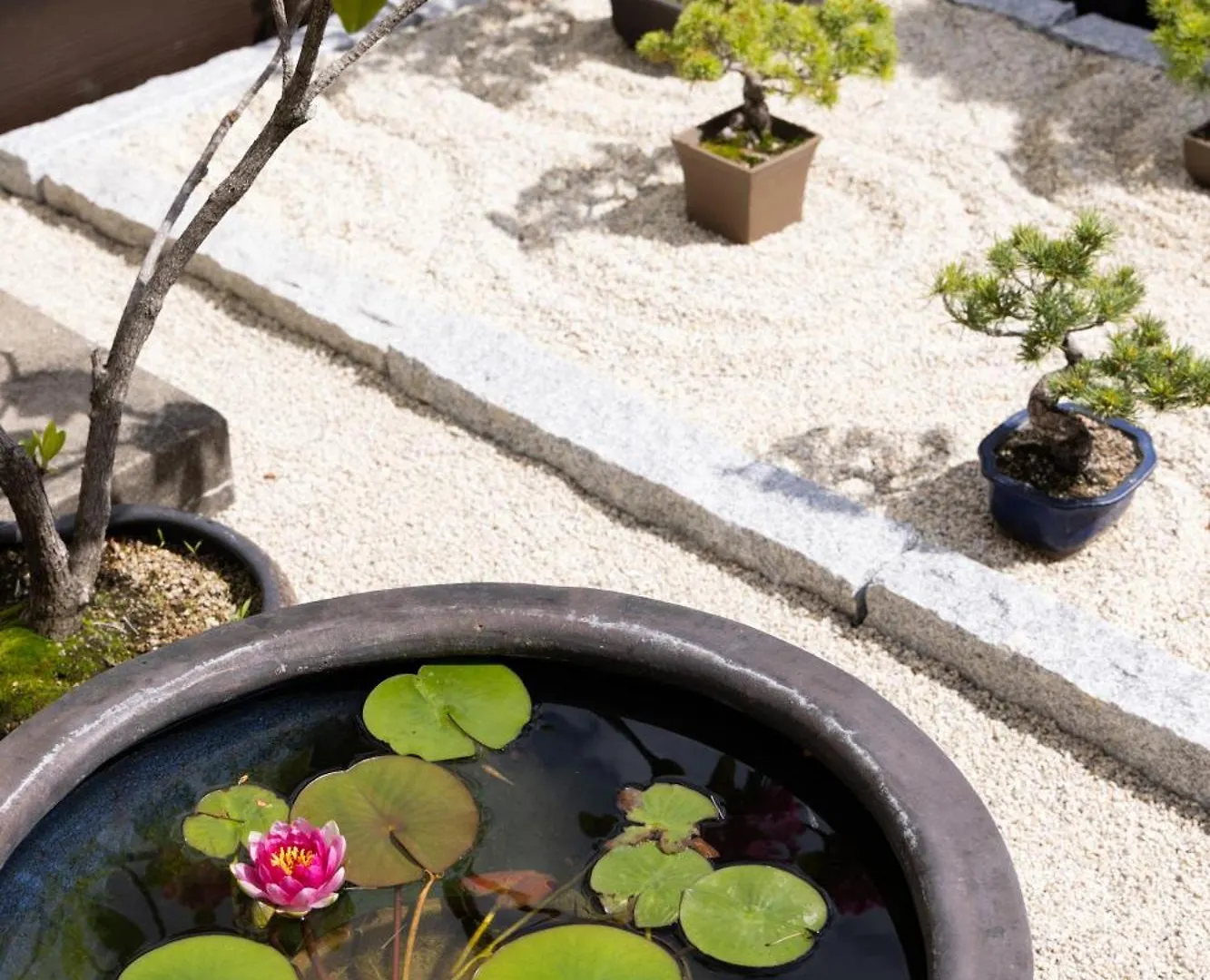 ***  Ryokan Asakusa Shigetsu Токио Япония