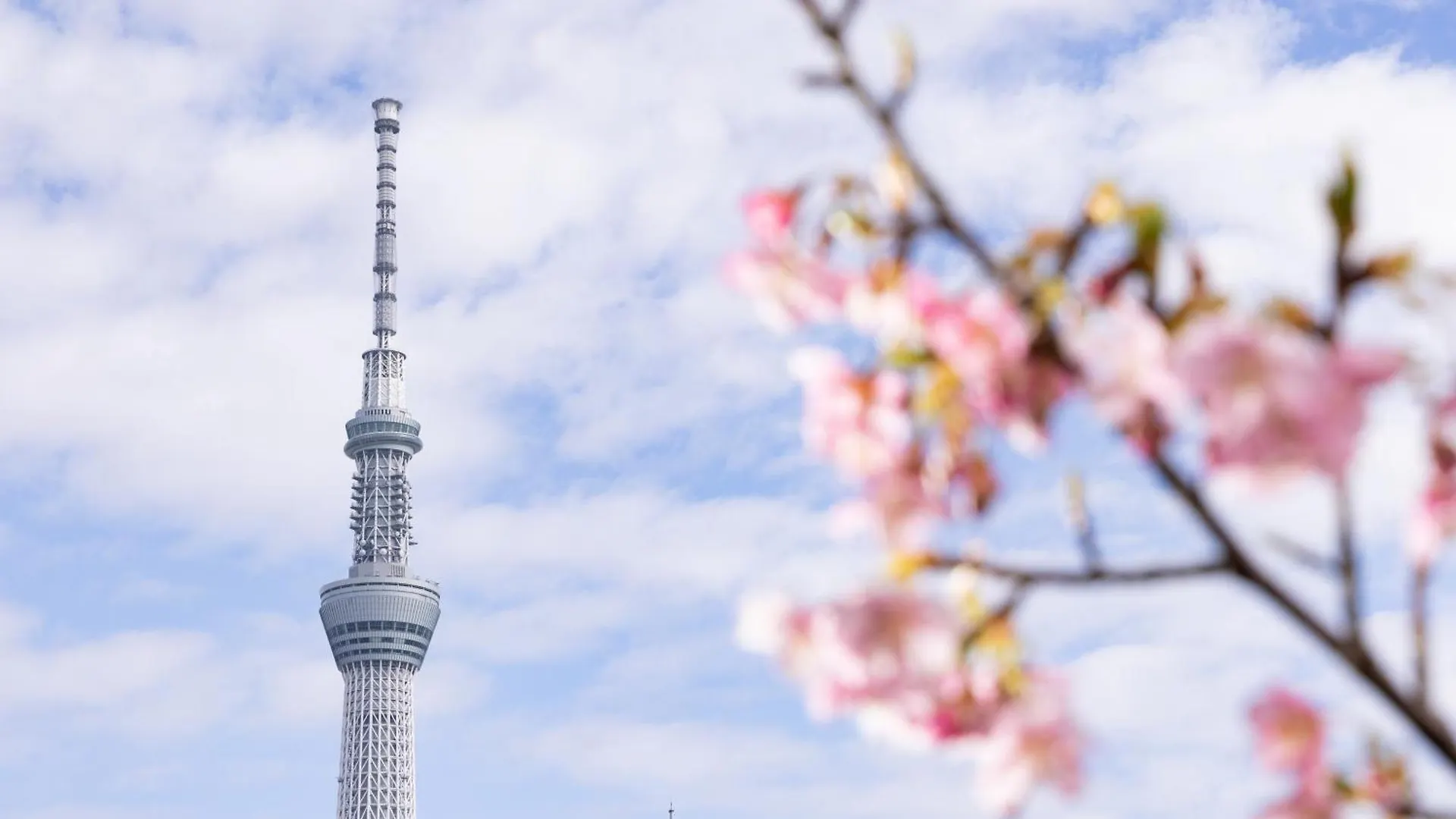 ***  Ryokan Asakusa Shigetsu Τόκιο Ιαπωνία
