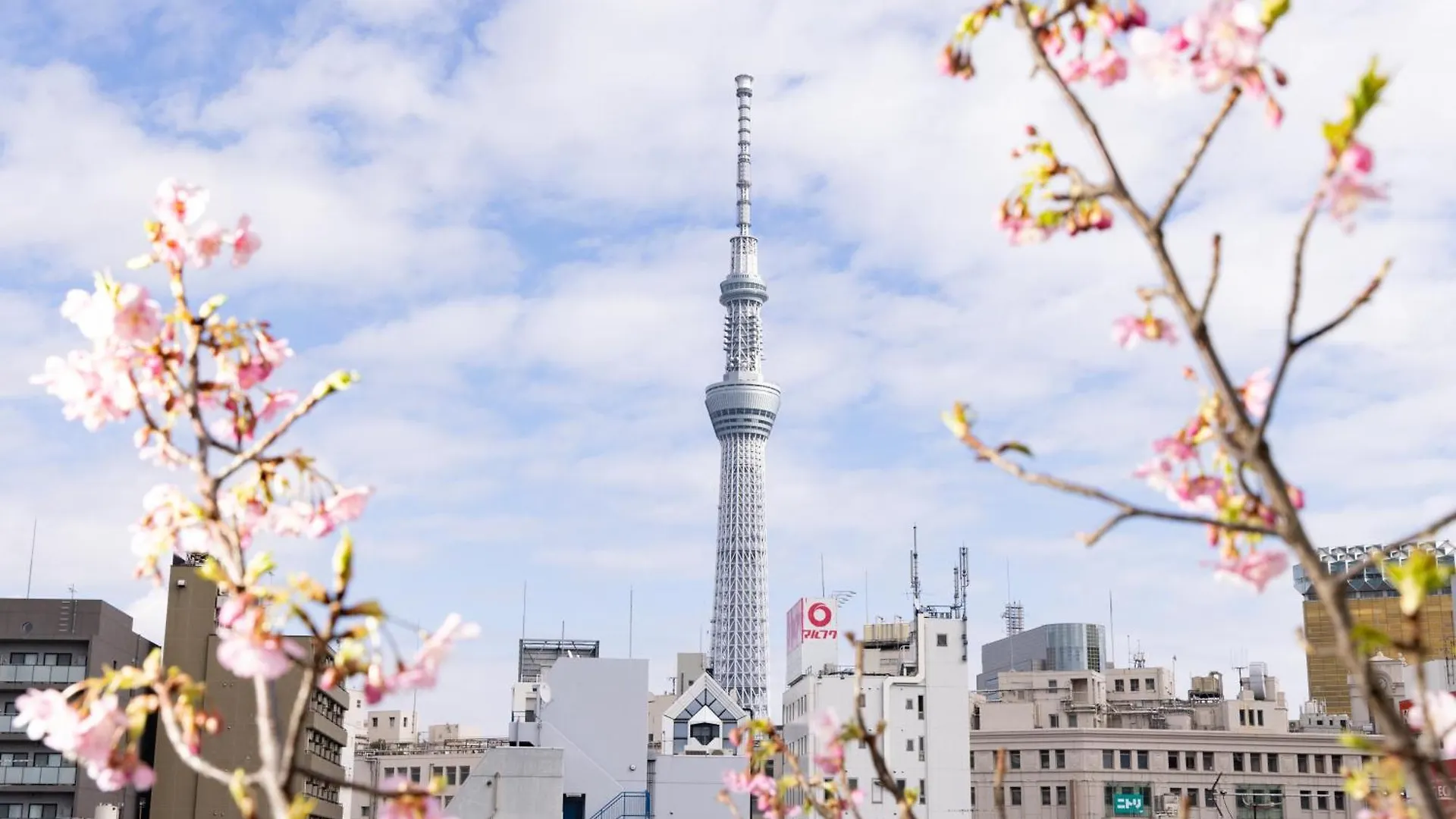 東京都 浅草指月日式旅馆酒店 3*,  日本